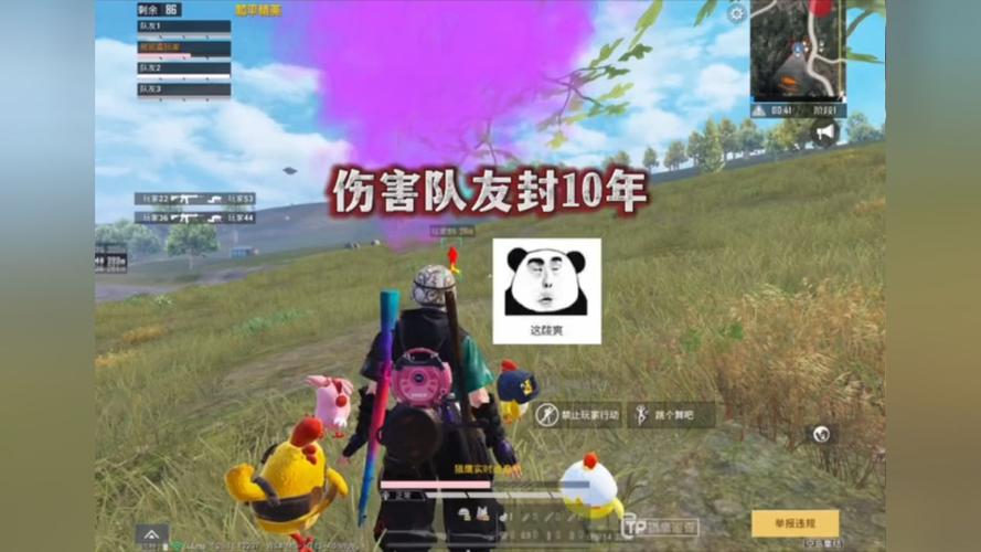 玩家心声：我为何选择或抵制和平精英辅助软件
